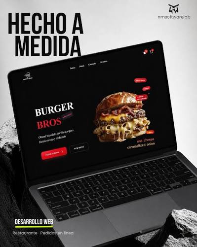Desarrollo web profesional para negocios y empresas